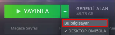 Steam Yayınla Çözümü